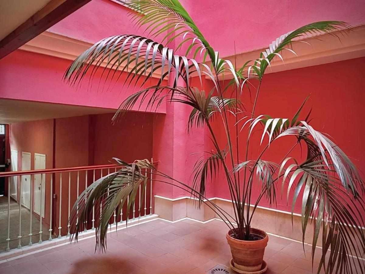 Apartamento Sauceda 7 Sevilla Exteriér fotografie